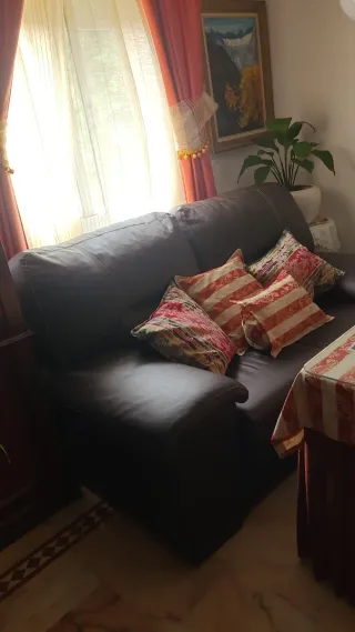 Sofá de 2 plazas en buen estado