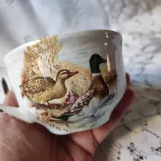 🇬🇧 Set tè Royal Worcester Palissy con Quaglie