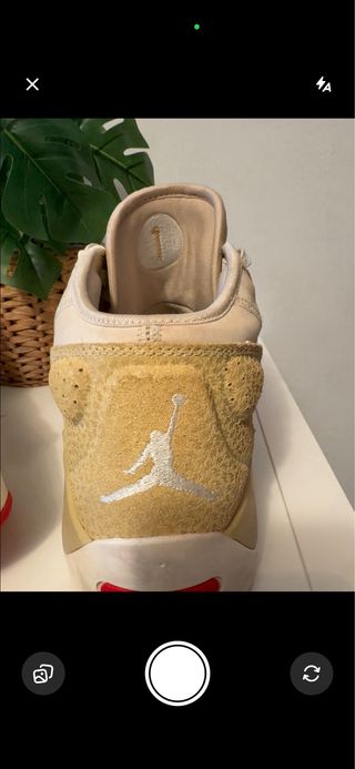 Nike Jordan Zion Beige Talla 45.5