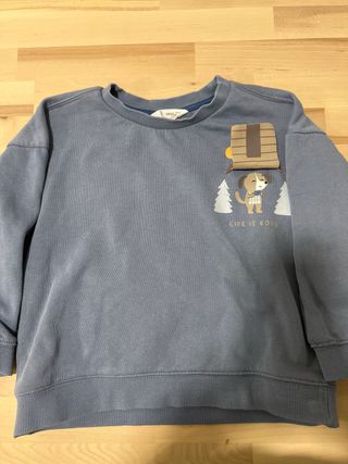 Lote 4 sudaderas 110cm