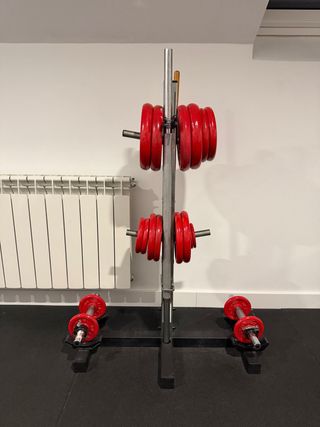 Discos Salter, barras y soporte