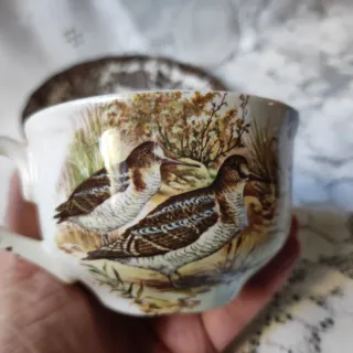 🇬🇧 Set Tè Royal Worcester Palissy con fagiani