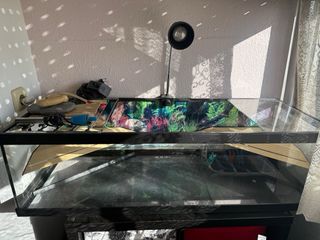 Acuario Pecera Cristal con Accesorios