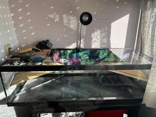 Acuario Pecera Cristal con Accesorios