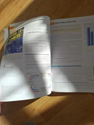 Economía. 1 Bachillerato. Savia (Spanish Edition)