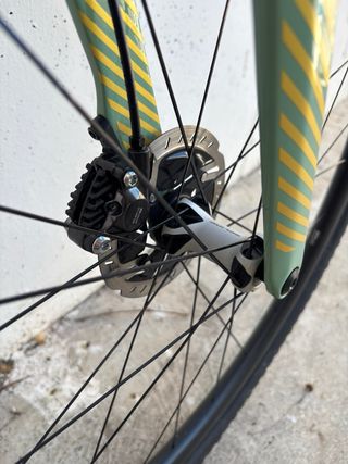 Orbea Terra Custom 2024