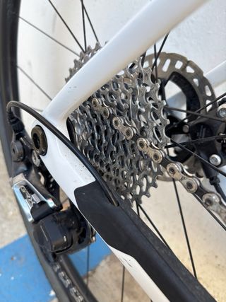 Orbea Terra Custom 2024