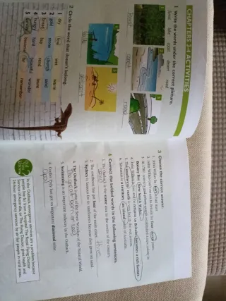 A FOREIGNER IN NEW YORK -2 BATXILLERAT-