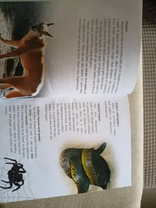 A FOREIGNER IN NEW YORK -2 BATXILLERAT-