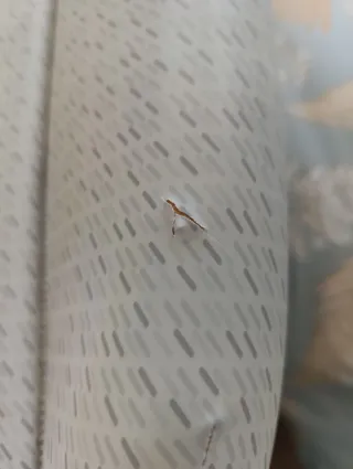 Cambiador bañera bebé Chicco