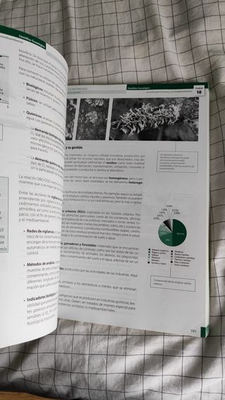 Ambito Cientifico Tecnologico. Nivel II