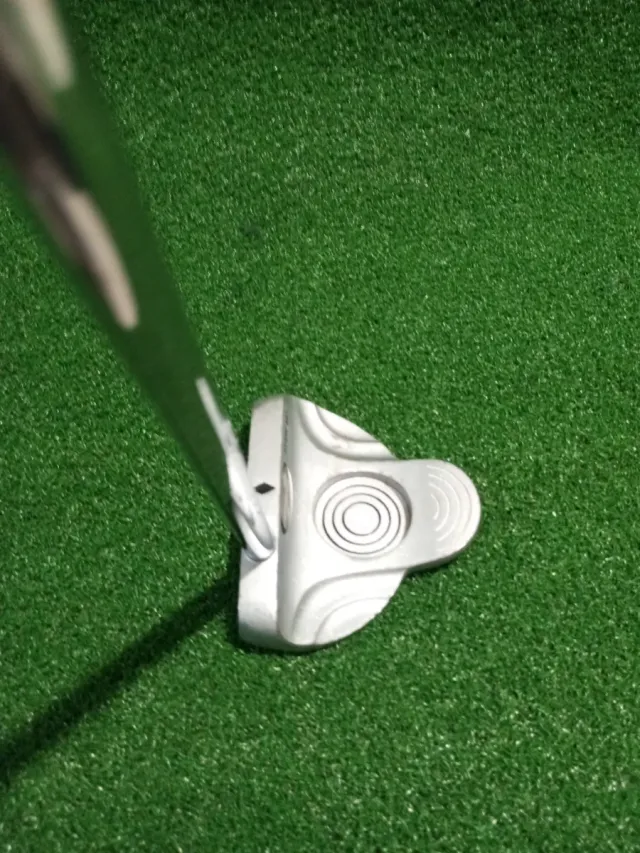 Putter Slazenger Stainless palo de golf