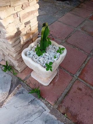 Set 2 Macetas Rústicas Piedra y Terracota