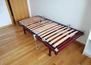 Somier eléctrico regulable