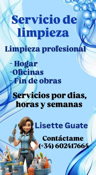 Limpieza profesional
