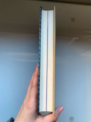 Libro lectura “La puerta encantada” reino fantasía