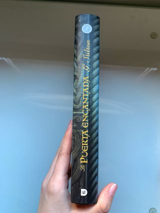 Libro lectura “La puerta encantada” reino fantasía