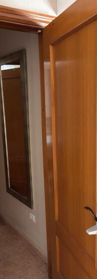 Puerta interior de madera