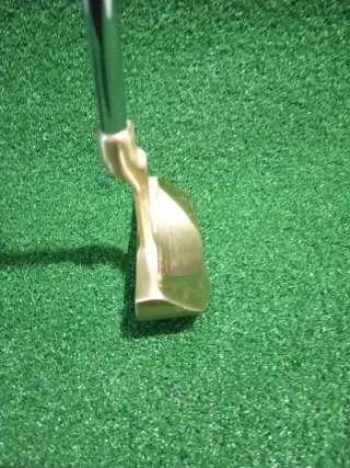 Putter Donny Evolution 17 Palo de golf