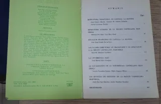 Almud Revista de Estudios de Castilla La Mancha