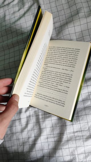 El príncipe de la niebla