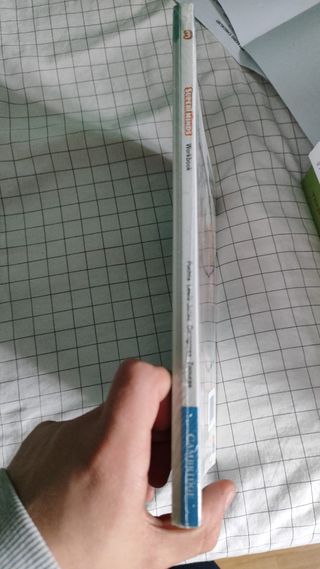 Super Minds Level 3 Workbook with Super Practic...