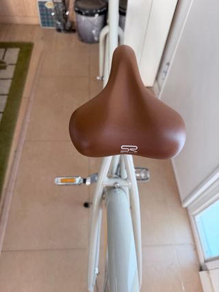 Bicicleta Veloretti estilo urbano