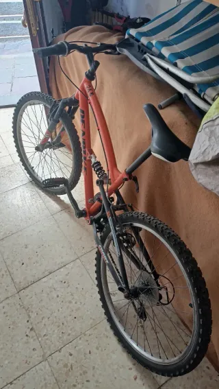 Bicicleta infantil 24 DENBIKE