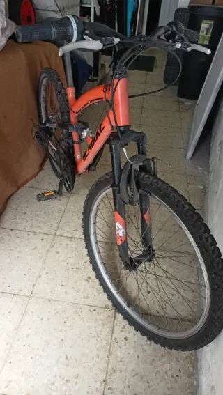 Bicicleta infantil 24 DENBIKE