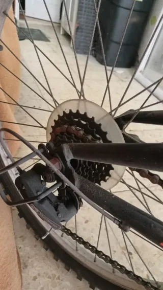 Bicicleta infantil 24 DENBIKE