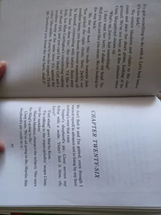 in the nick of time.(rollercoaster)