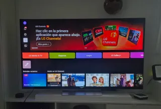 LG OLED 65 Negro Puro