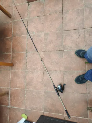 Conjunto caña de pescar y carrete