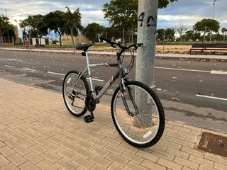 Bicicleta Probike Phoenix - ruedas de 26"