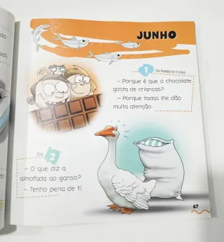 365 dias piadas com adivinhas engrac̜adas. Vol. 2