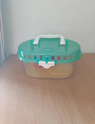 Tortuga nadadora de juguete con caparazón decorado