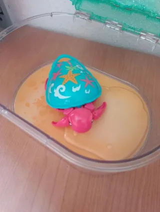 Tortuga nadadora de juguete con caparazón decorado