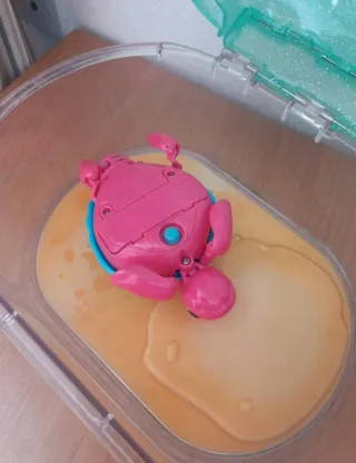 Tortuga nadadora de juguete con caparazón decorado