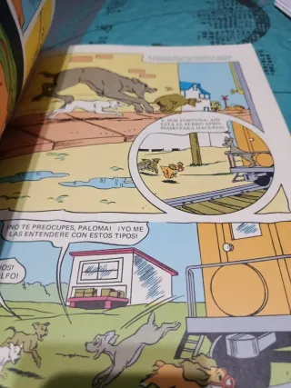 La dama y el vagabundo 1970. Tamaño gigante.