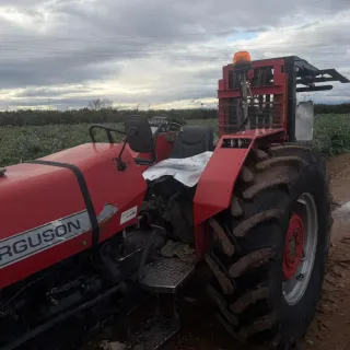 Tractor Massey Ferguson 290 F Frutero
