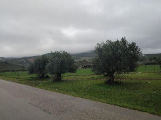 Terreno en venta en Puerto Serrano