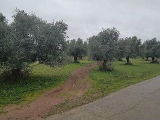 Terreno en venta en Puerto Serrano