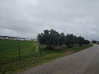 Terreno en venta en Puerto Serrano