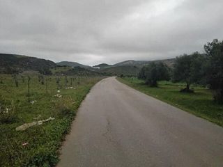 Terreno en venta en Puerto Serrano