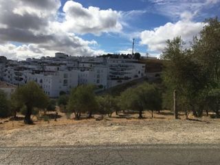 Terreno en venta en Arcos de la Frontera