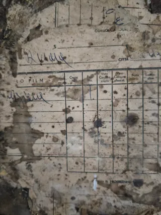 Scatola per pellicole1960 cinematografiche