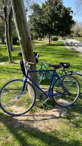 Bicicleta Fixie Vintage Azul