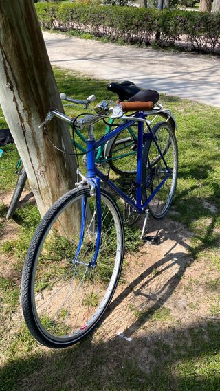Bicicleta Fixie Vintage Azul