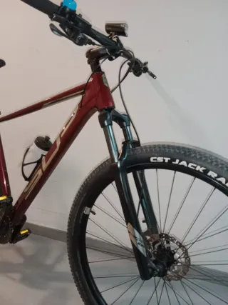 Bicicleta de montaña