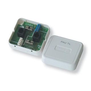 Punto Acceso Doble 2 Líneas con Caja